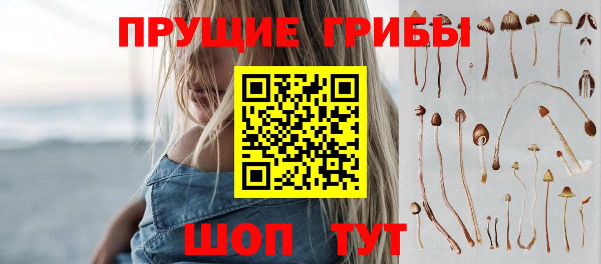 Галлюциногенные грибы GOLDEN TEACHER  Вход с VPN  Галлюциногенные грибы прущие грибы  Белебей 